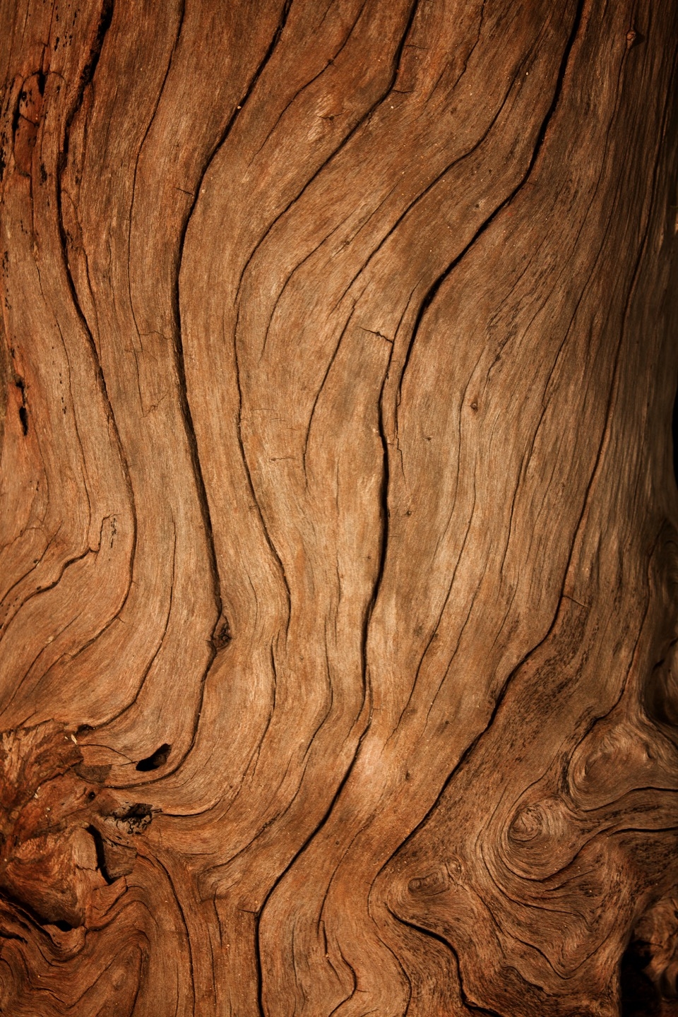 shutterstock_146964500