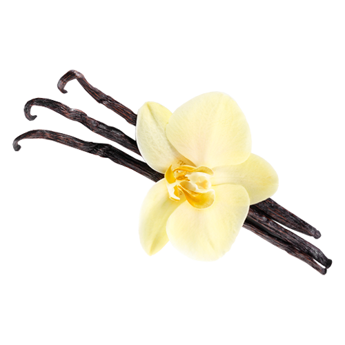 Copie de kisspng-flavor-vanilla-electronic-cigarette-aerosol-and-li-vanilla-cream-5b154e6f032ba3.721249601528122991013