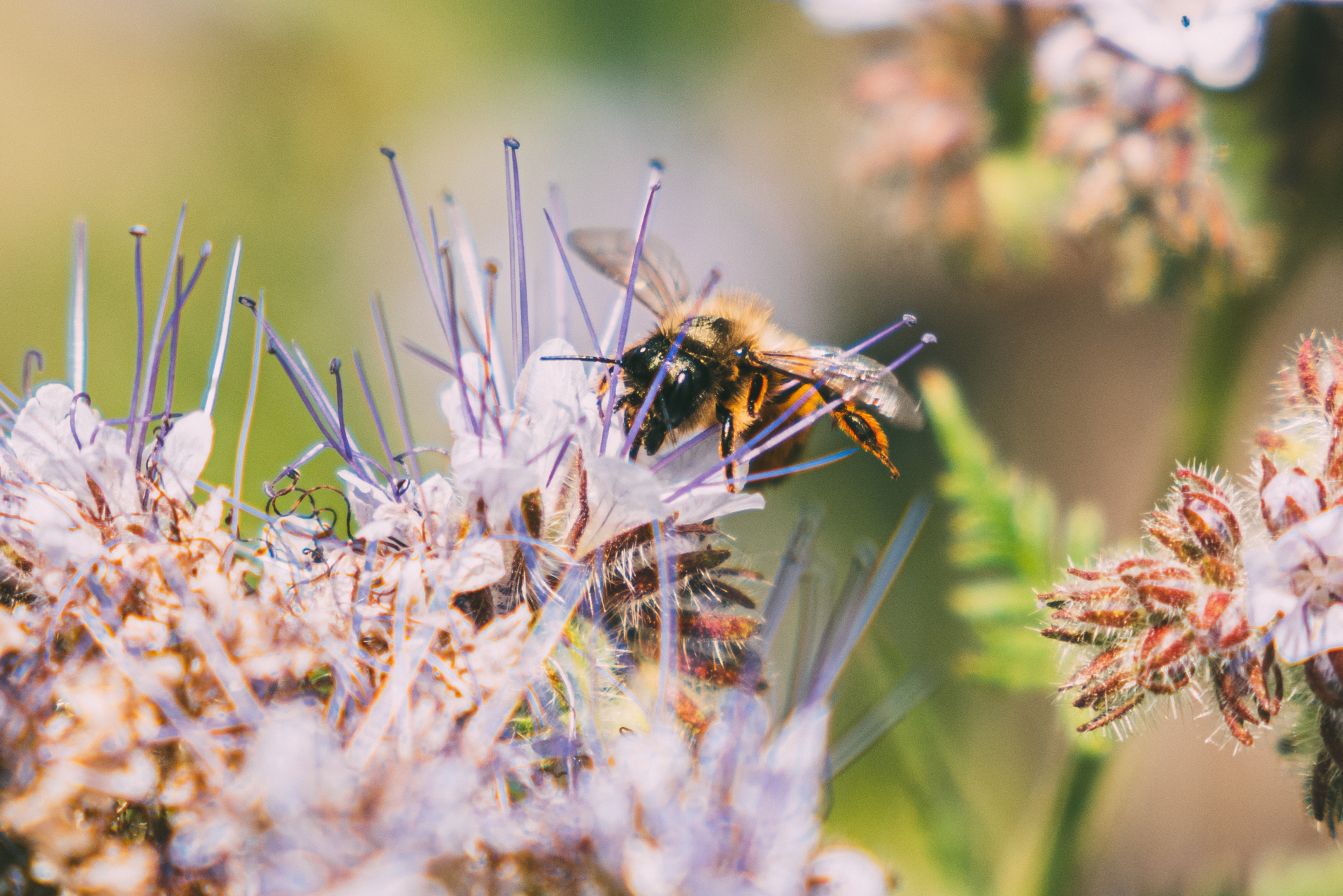 visite evasion vignoble responsable (2)